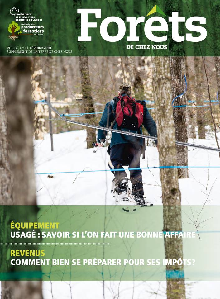 Débroussailleuses : des experts se prononcent - Fédération des producteurs  forestiers du Québec