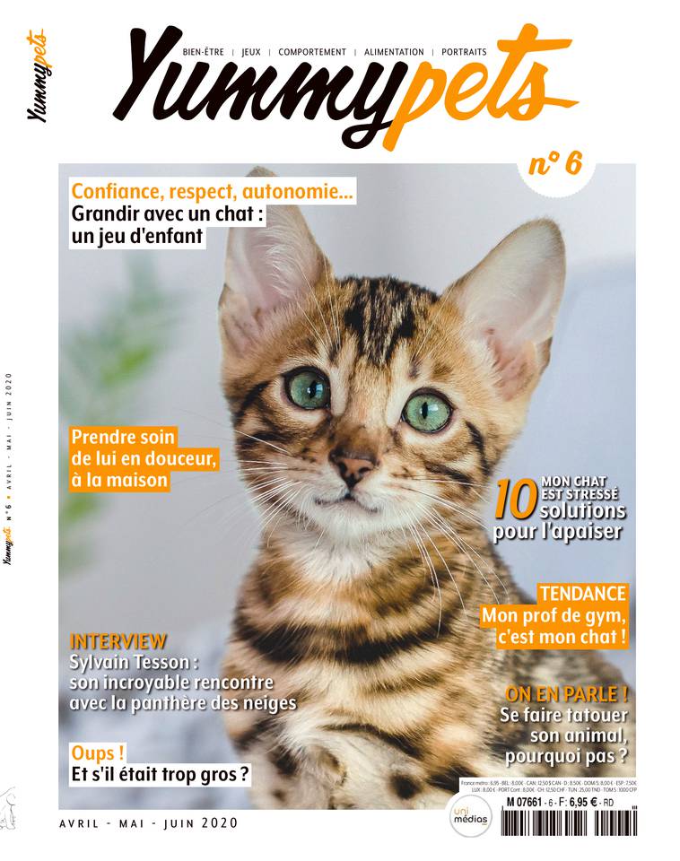 Stress du chat - Conseils - Yummypets