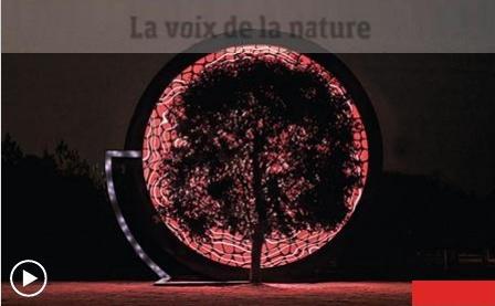 Par Cyril Valent