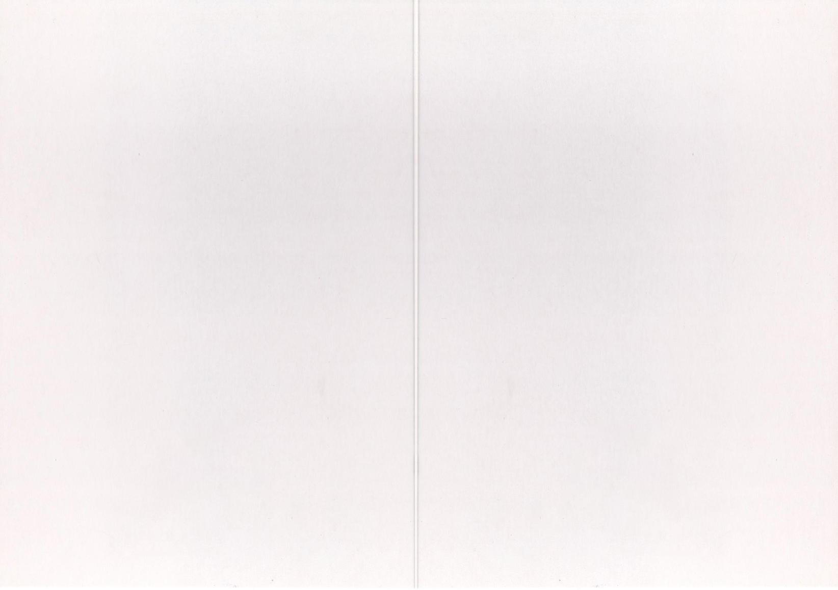 Nicolas Jacquard,Christophe Levent,Jean-Baptiste Quentin