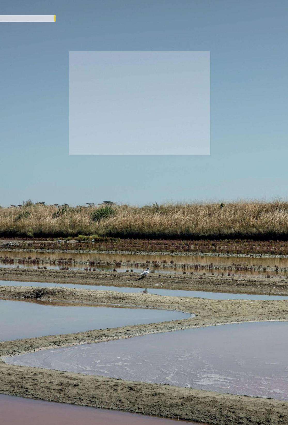 TEXTE : EVA BATLOGG – PHOTOS : KAREL BALAS