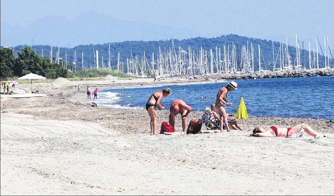 La Plage Dacquanera Débarrassée Des Algues Sfr Presse