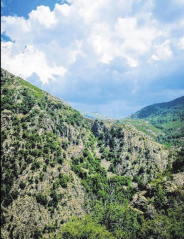 Sept jours en Corse,ROGER ANTECH