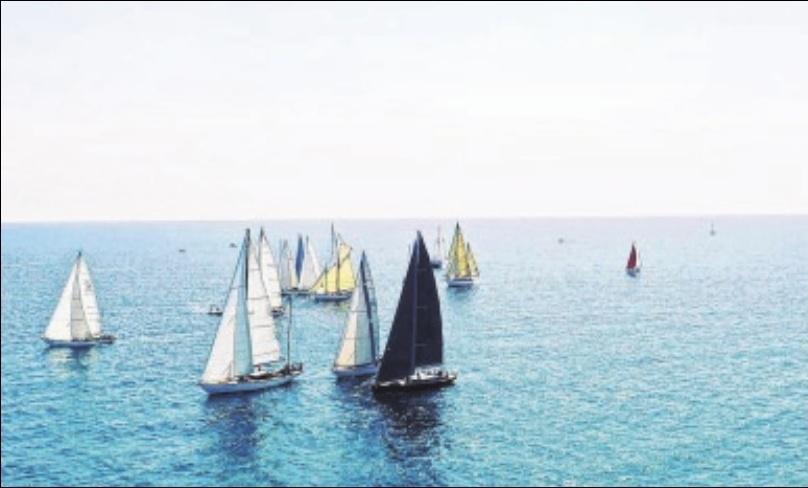JULIE QUILICI-ORLANDI