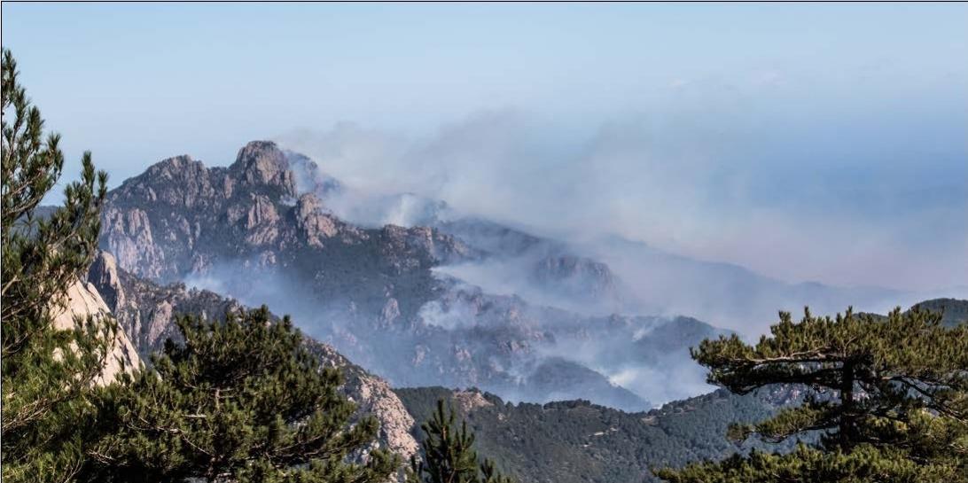 G. B.-L.,Facebook : ALCFCorsica.