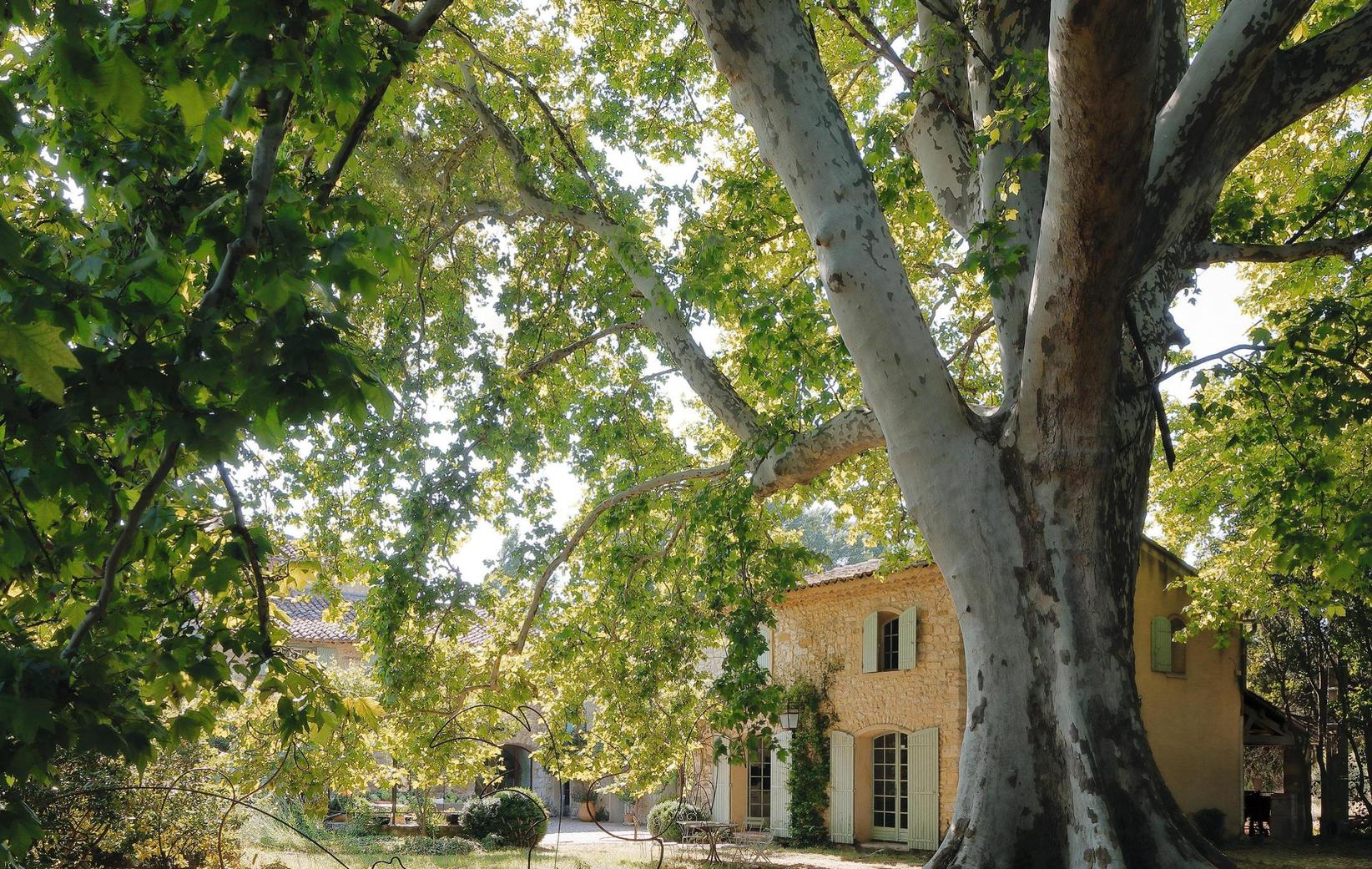 PAR Caroline Clavier PHOTOS Nicolas Millet