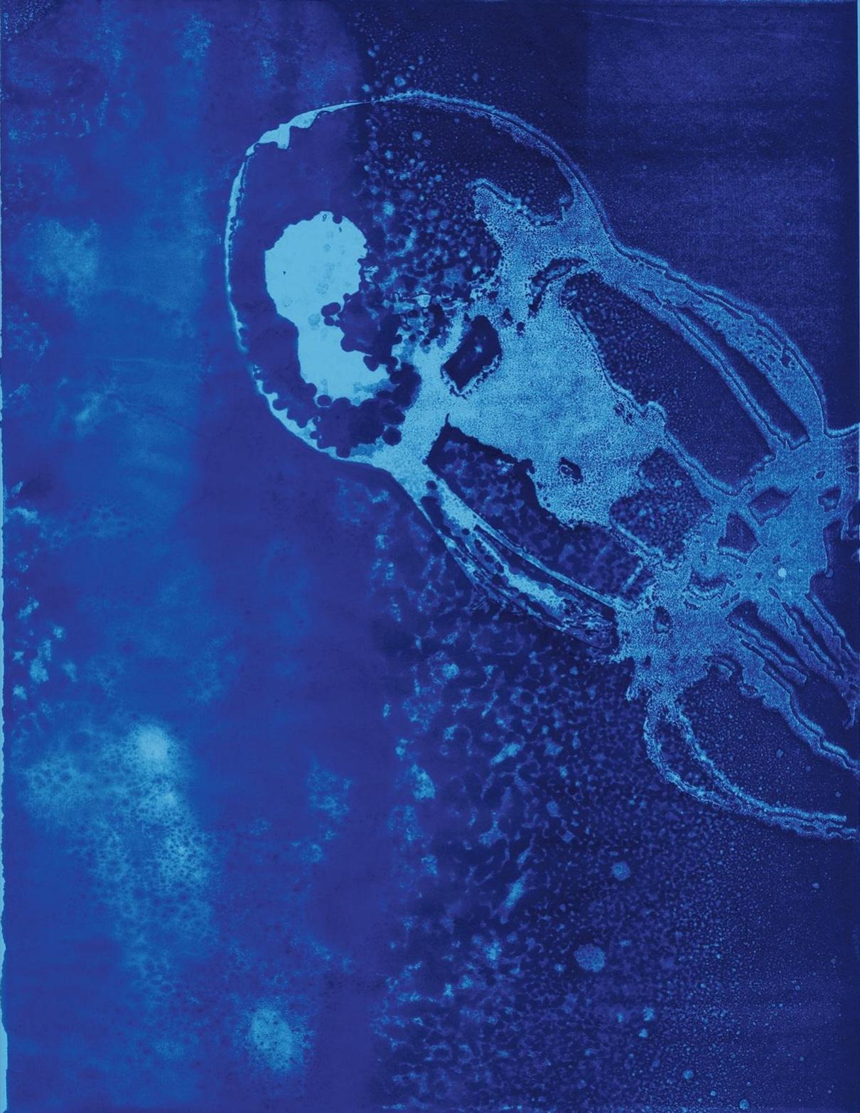 TEXTE Christian Sardet MONOTYPES SUR PAPIER Aurore de la Morinerie