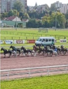 www.hippodrome-amiens.fr