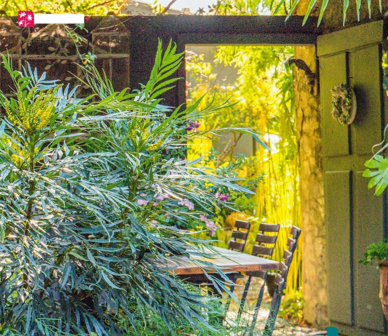 Texte et photos : Greenfortwo