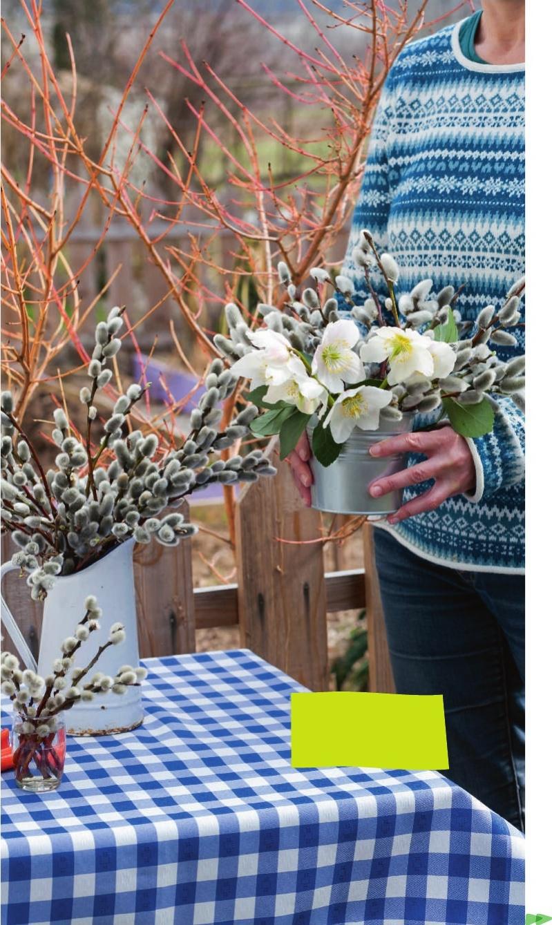 Texte et photos : C. Clairon sauf mentions contraires