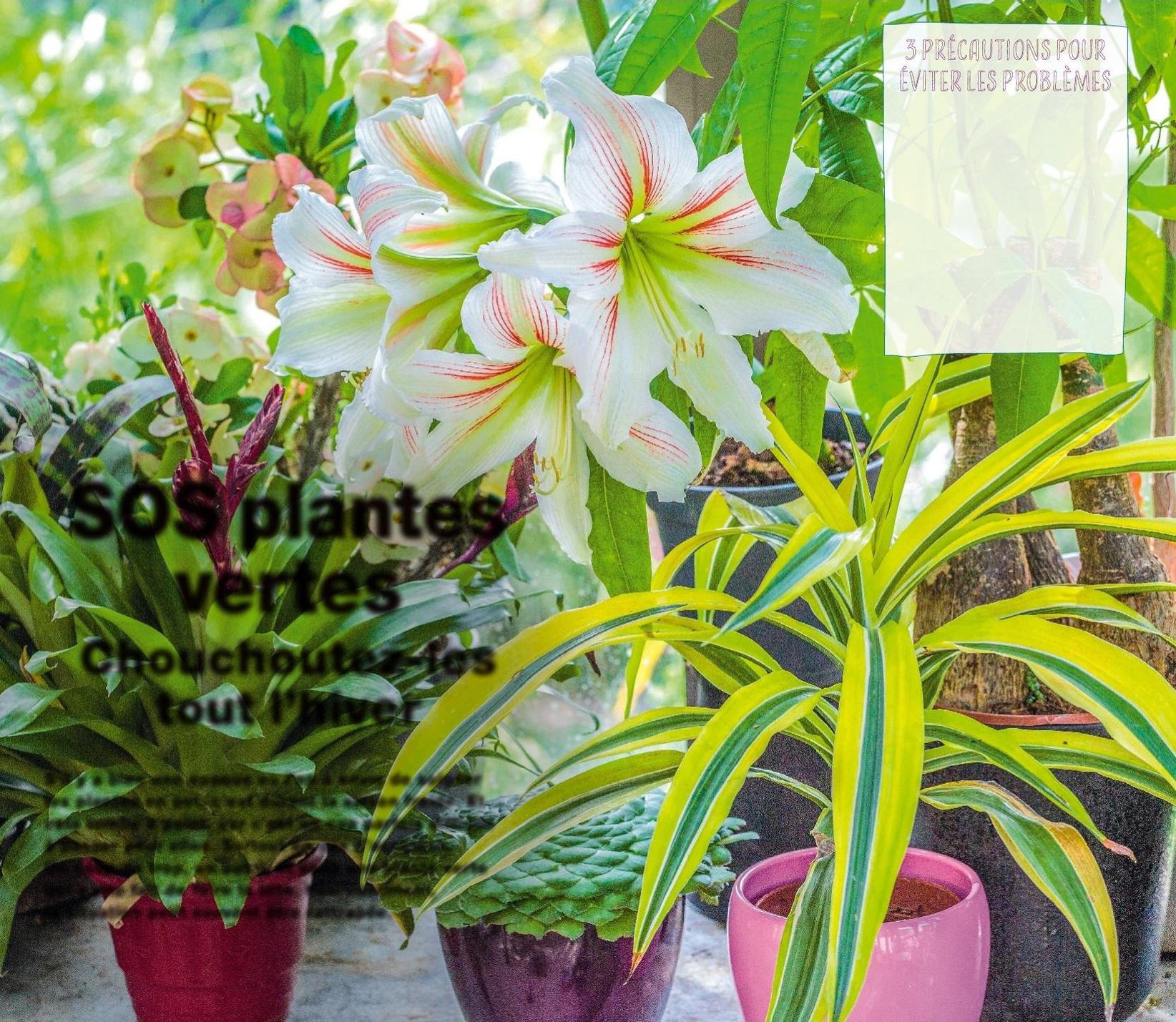 Texte et photos : Christian Clairon sauf mentions contraires