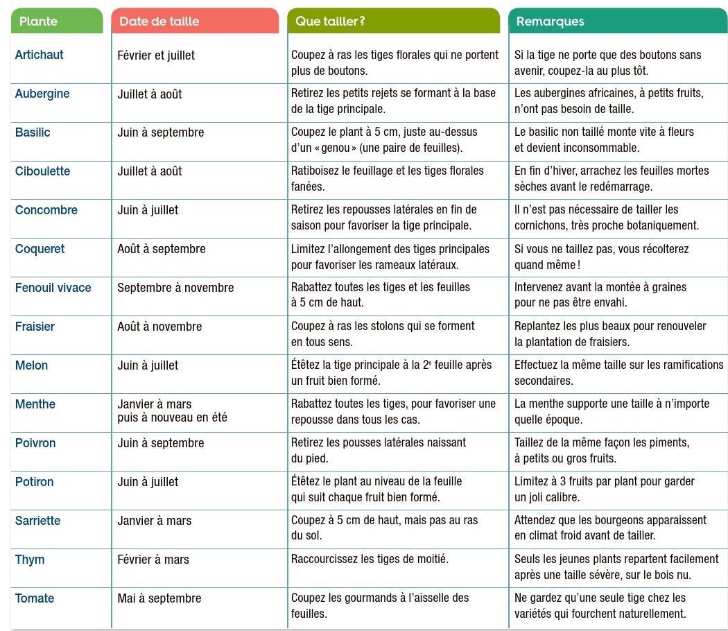 Calendrier : Christian Clairon Texte : Catherine Delvaux,> Plus d’infos sur la taille sur detentejardin.com