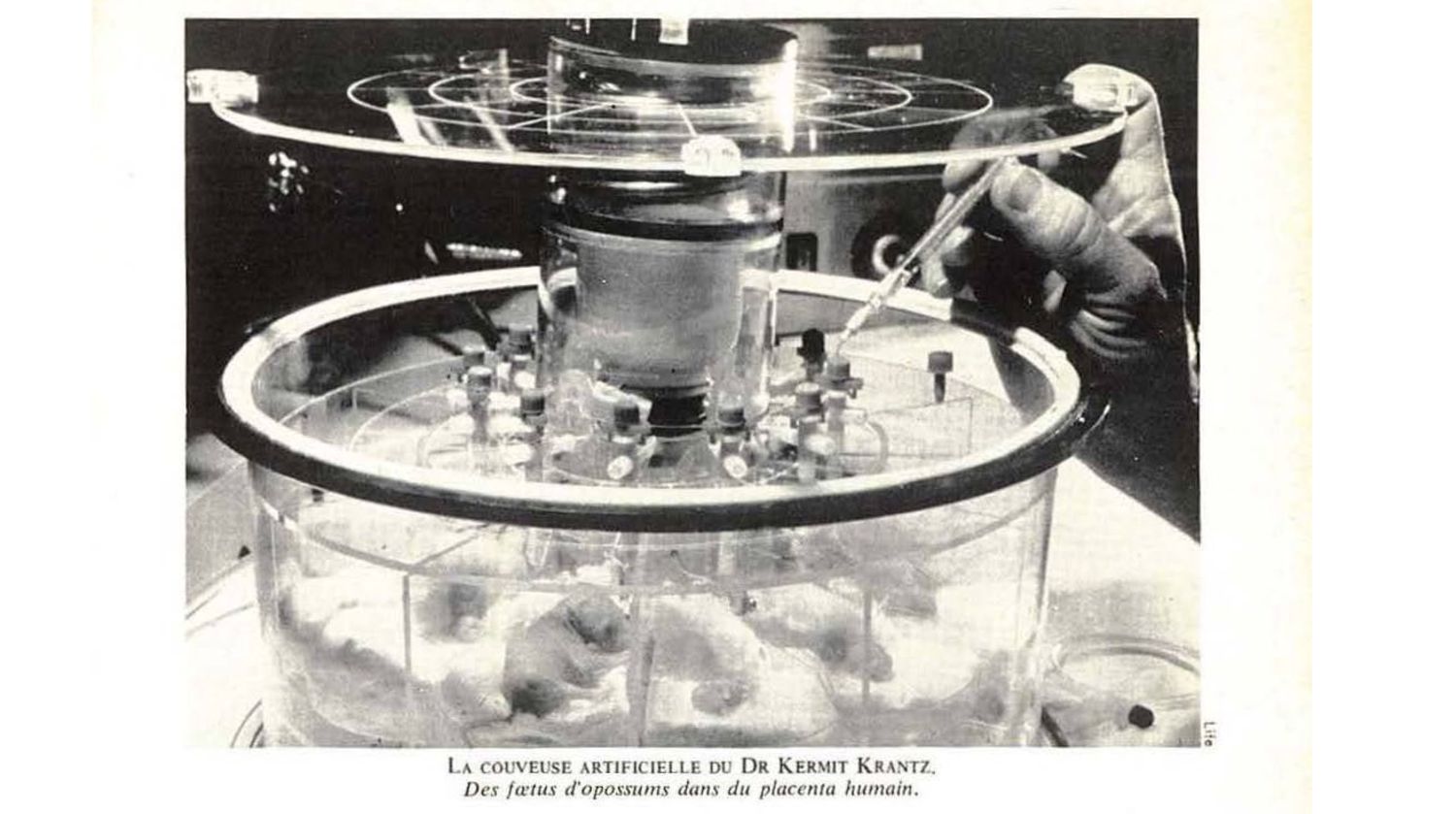 Par Jacqueline Giraud (en 1968)