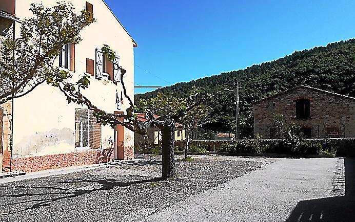 Christian Saint Martino