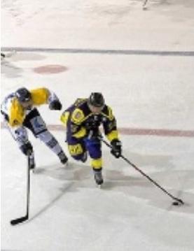 SYLVAIN POHU