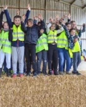Renseignements sur le site www.fdsea51.fr.