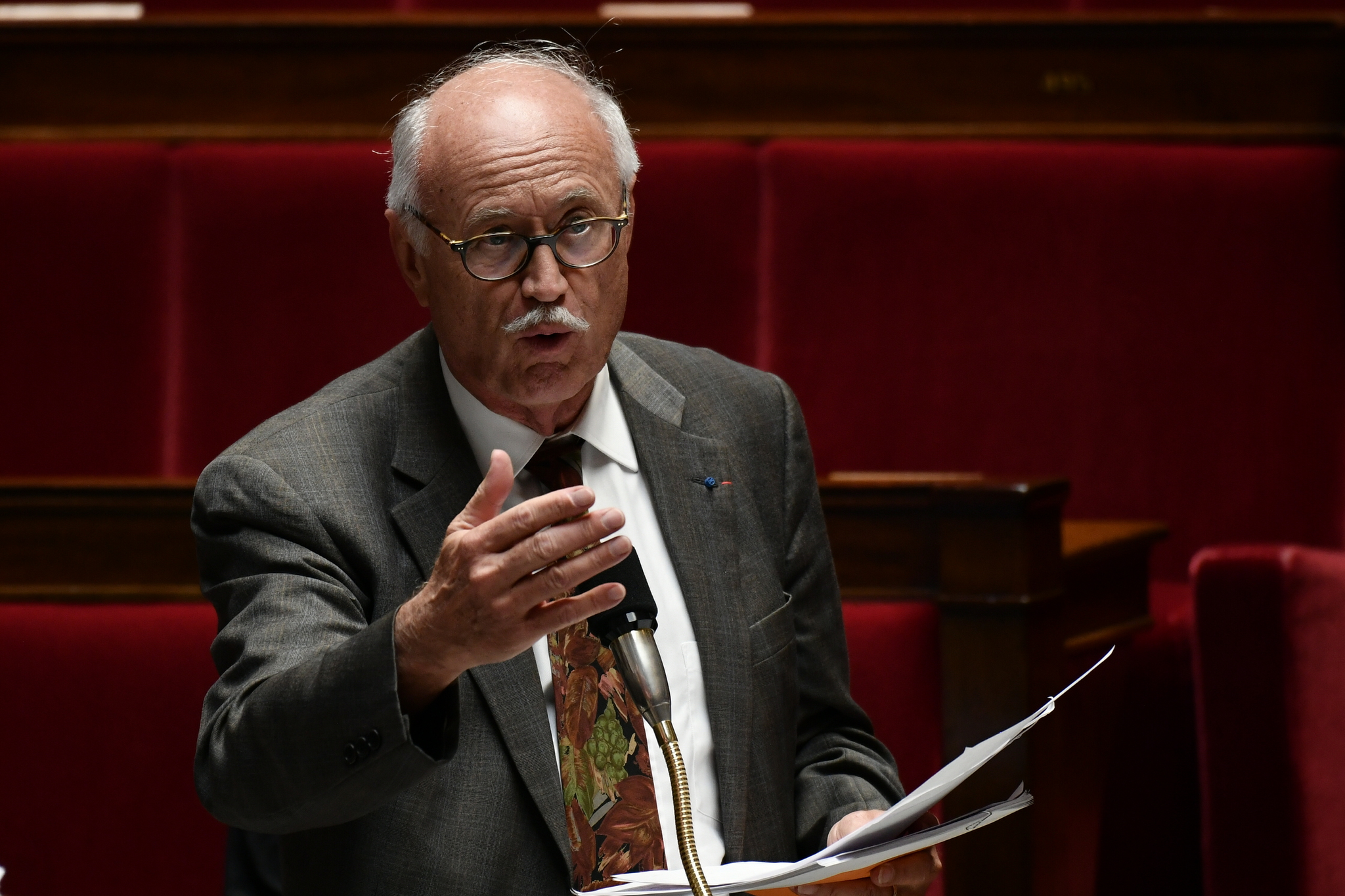 Loup Besmond de Senneville