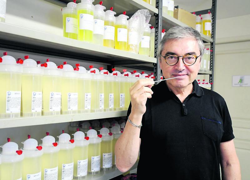 Sébastien Marti