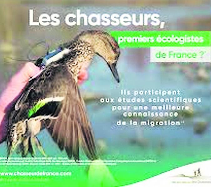 Cyril Brioule t