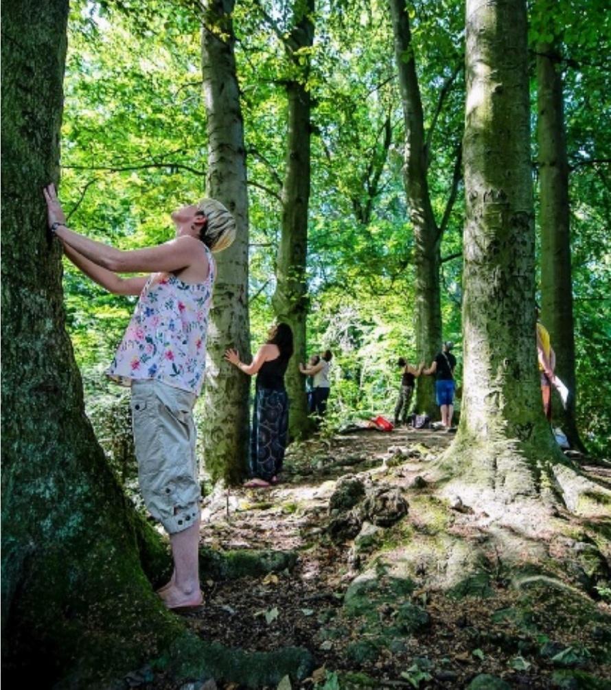 PAR AUDE DERAEDT,region@lavoixdunord.fr