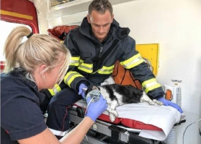 PAR ANGÉLIQUE DA SILVA-DUBUIS,lille@lavoixdunord.fr
