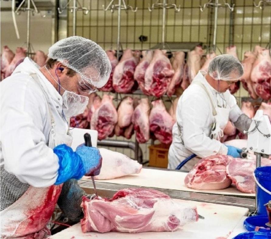 PAR ALINE CHARTREL,economie@lavoixdunord.fr