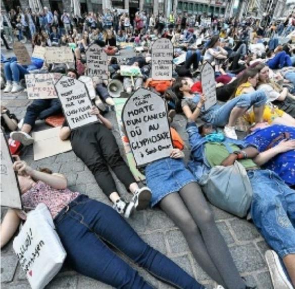 PAR SOPHIE FILIPPI-PAOLI,sfilippipaoli@lavoixdunord.fr