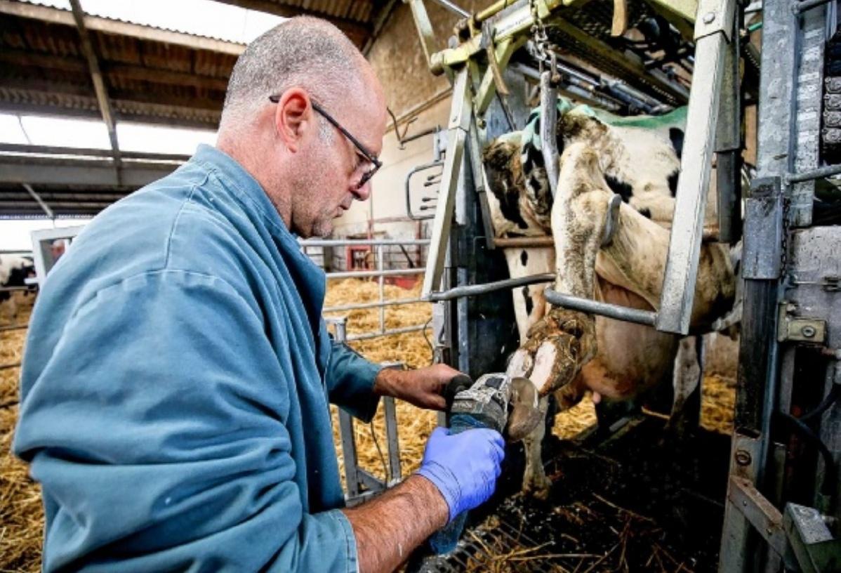 PAR LOÏC COSTET,region@lavoixdunord.fr