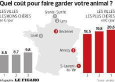 Canard, Ludivine