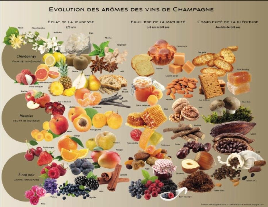 (Source : champagne.fr)