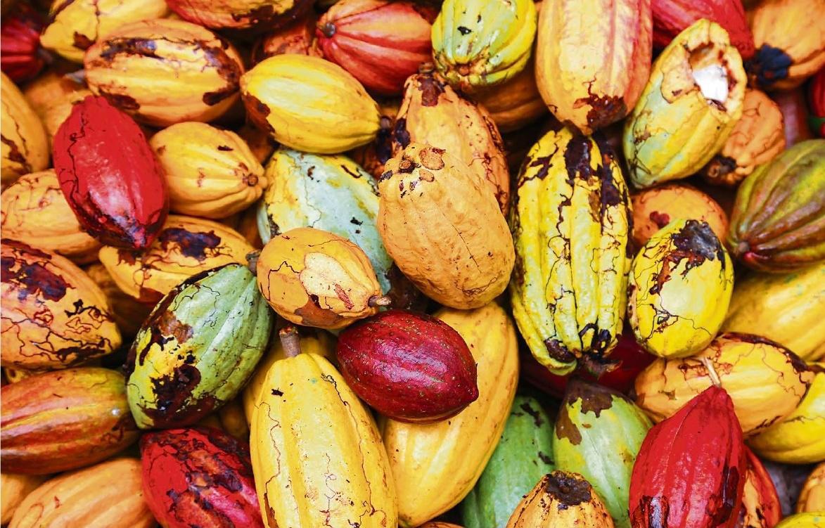 BENOIST SIMMAT Salon du chocolat à Paris, du 31 octobre au 4 novembre.
