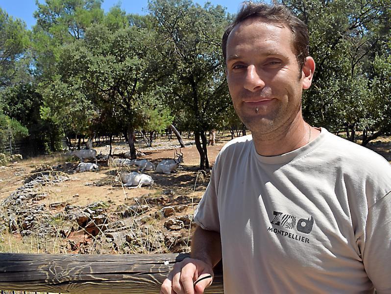 sébastien hoebrechts