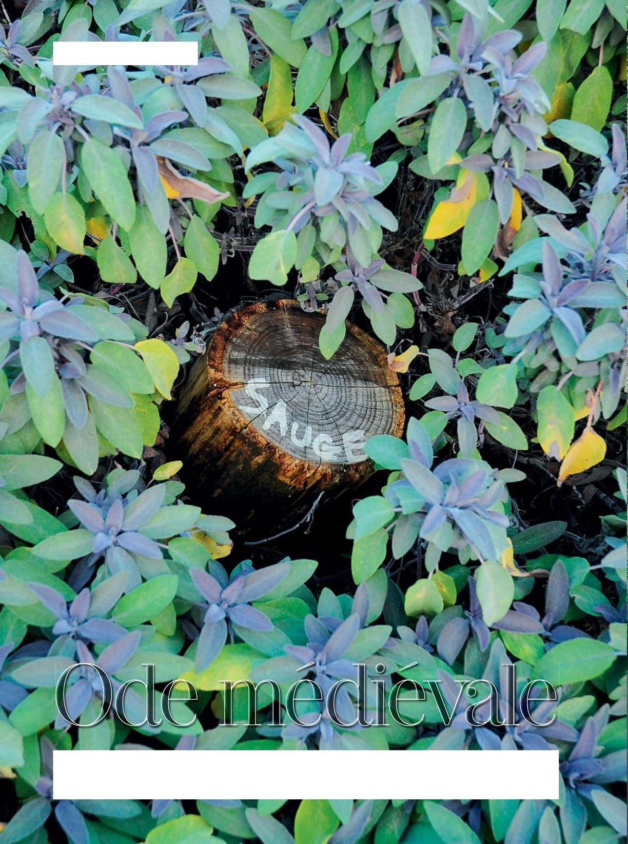 TEXTE ET PHOTOS FLORE PALIX