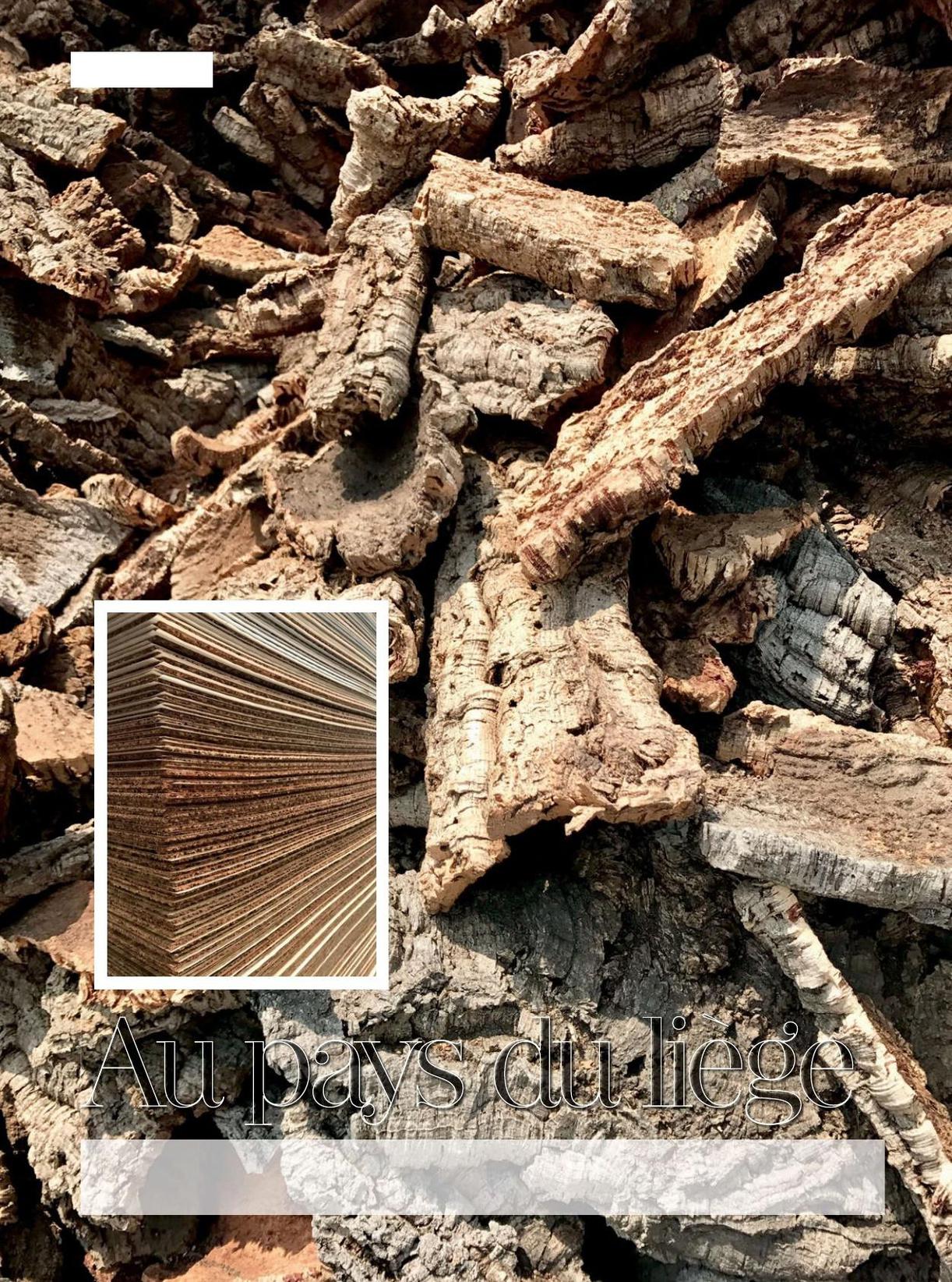 TEXTE ET PHOTOS SABINE ALAGUILLAUME