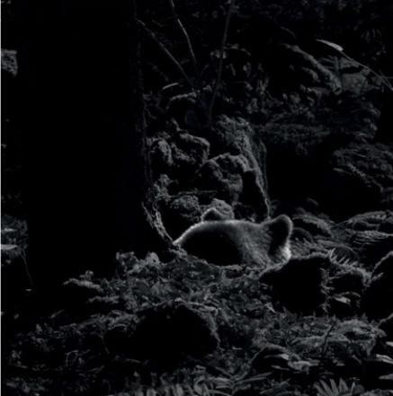 TEXTES ET PHOTOS JACQUES IOSET