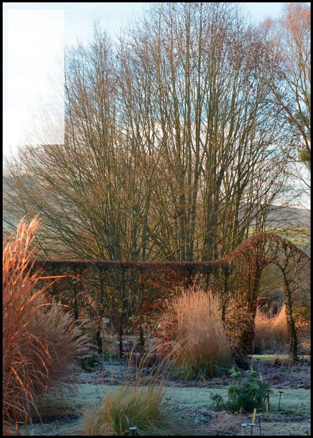 TEXTE ET PHOTOS SNEZANA GERBAULT