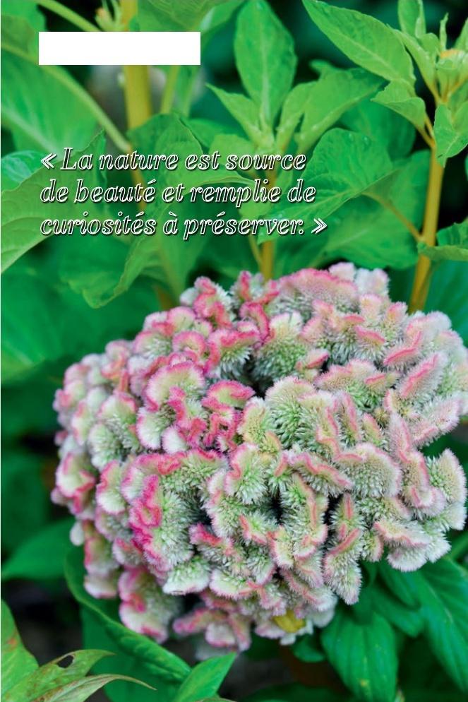 TEXTE ET PHOTOS FRANCK SCHMITT