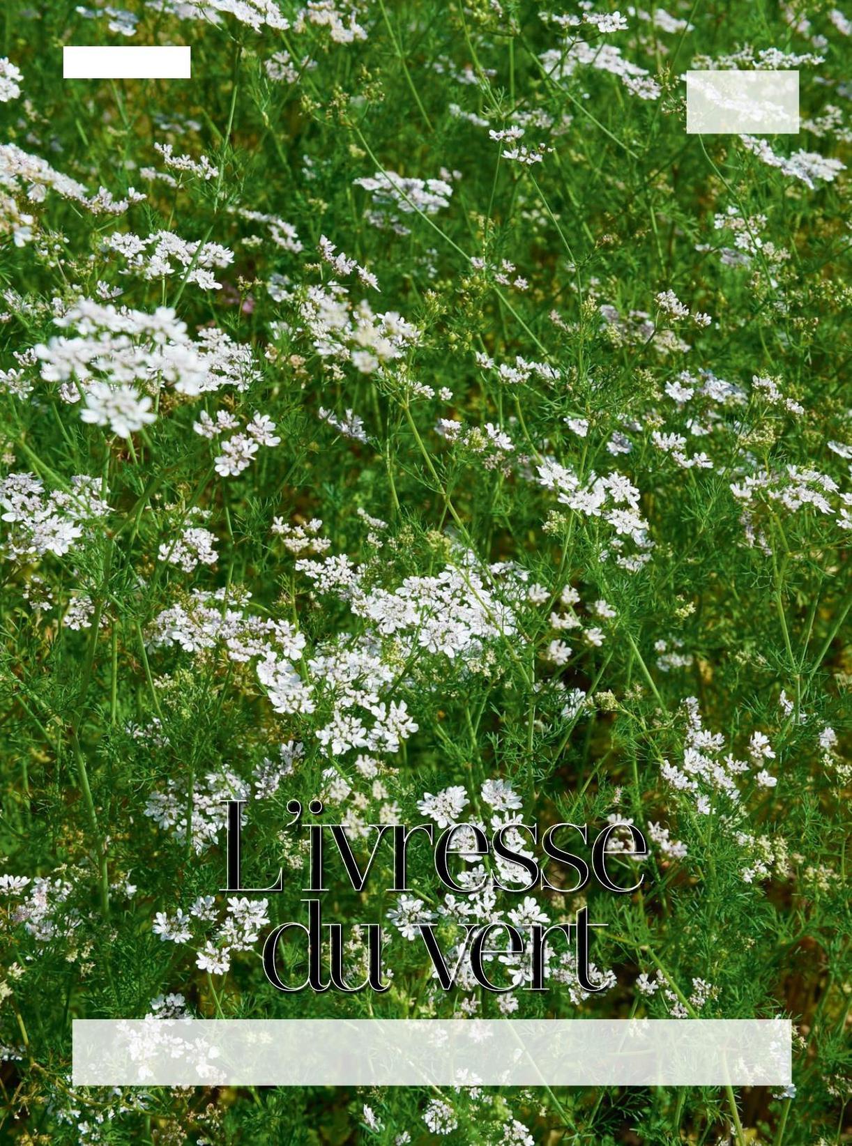 TEXTE ET PHOTOS FRANCK SCHMITT