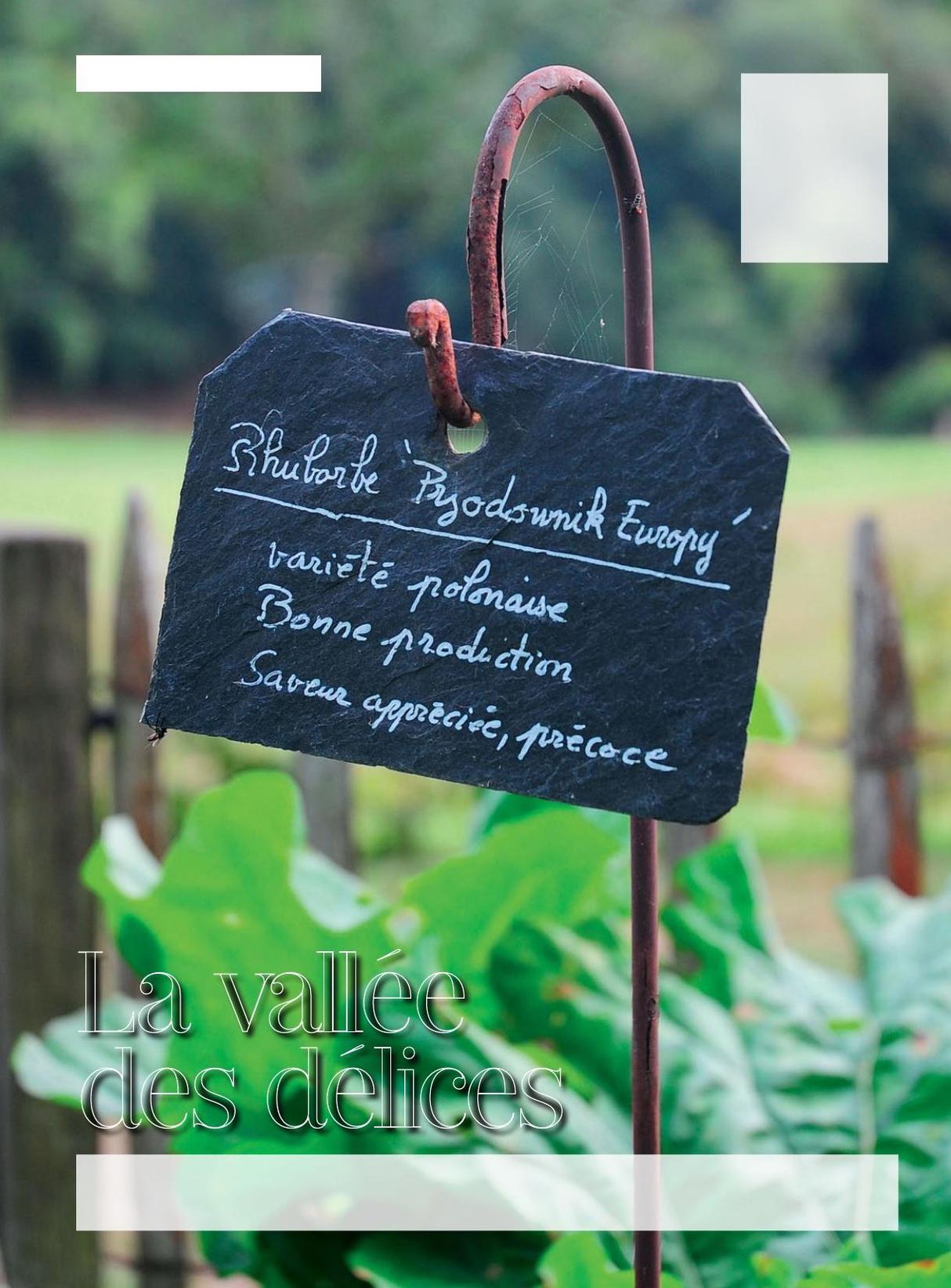 TEXTE ET PHOTOS FLORE PALIX