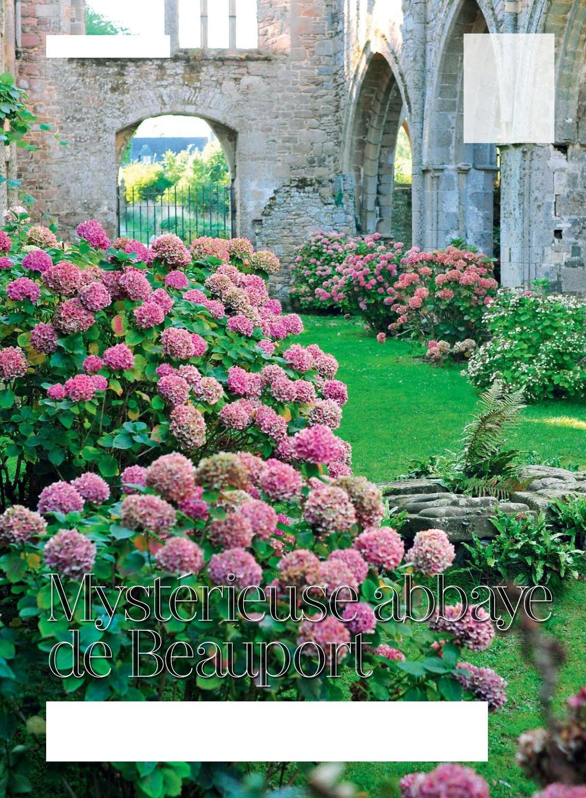 TEXTE ET PHOTOS FLORE PALIX