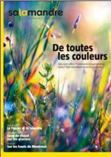 TEXTES LA SALAMANDRE PHOTOS LAURENT GESLIN