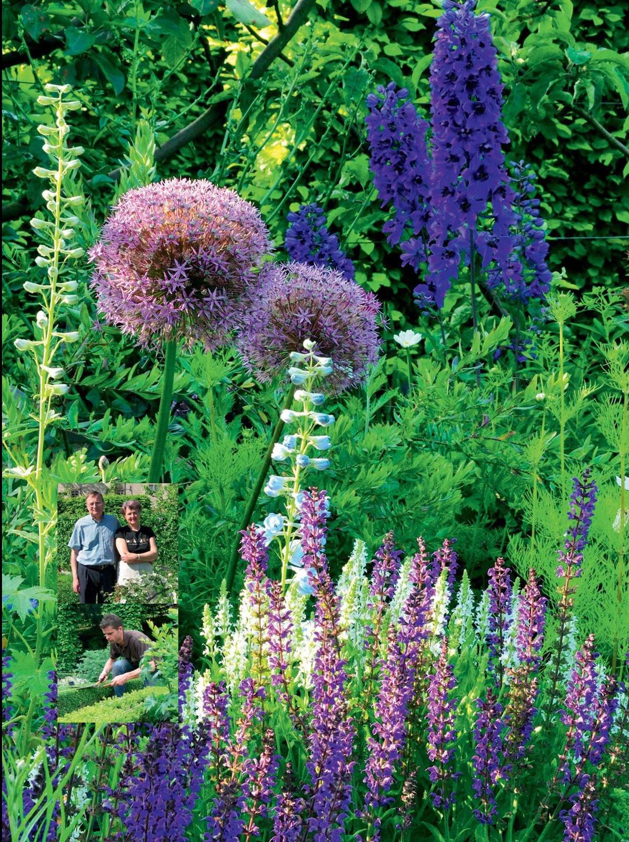 TEXTE ÉLISE CHEVILLARD PHOTOS JARDIN DES CINQ SENS