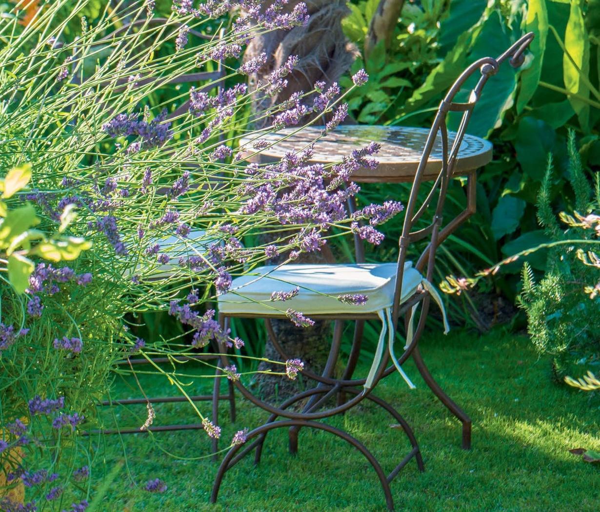 TEXTE ET PHOTOS GREEN FOR TWO MÉDIA