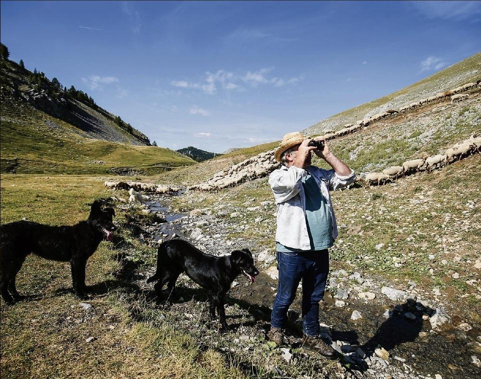 Dossier : Antoine Louchez alouchez@nicematin.fr Photos : Dylan Meiffret