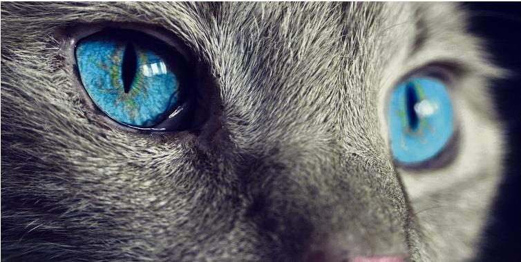 PAR SANDRINE BEIGAS