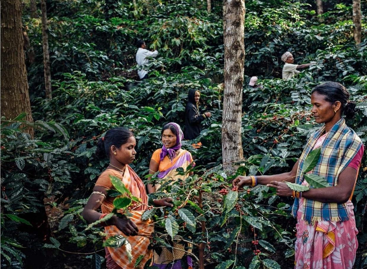 Par Sophie Stadler – Photos Cyril Marcilhacy