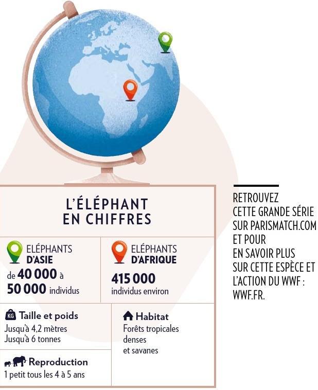 Propos recueillis par Karen Isère