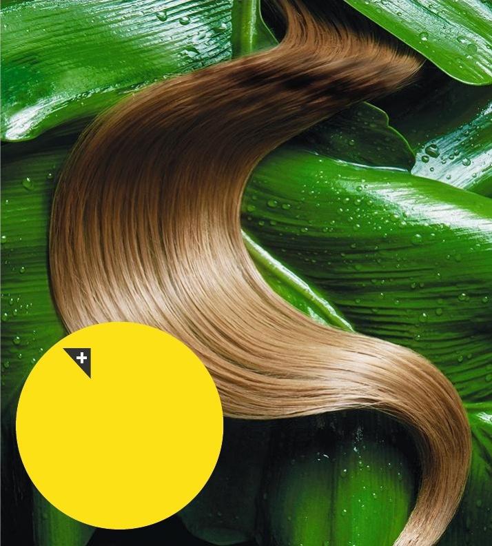 Par Ariane Le Febvre