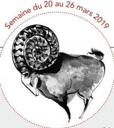 par Sybille Souane