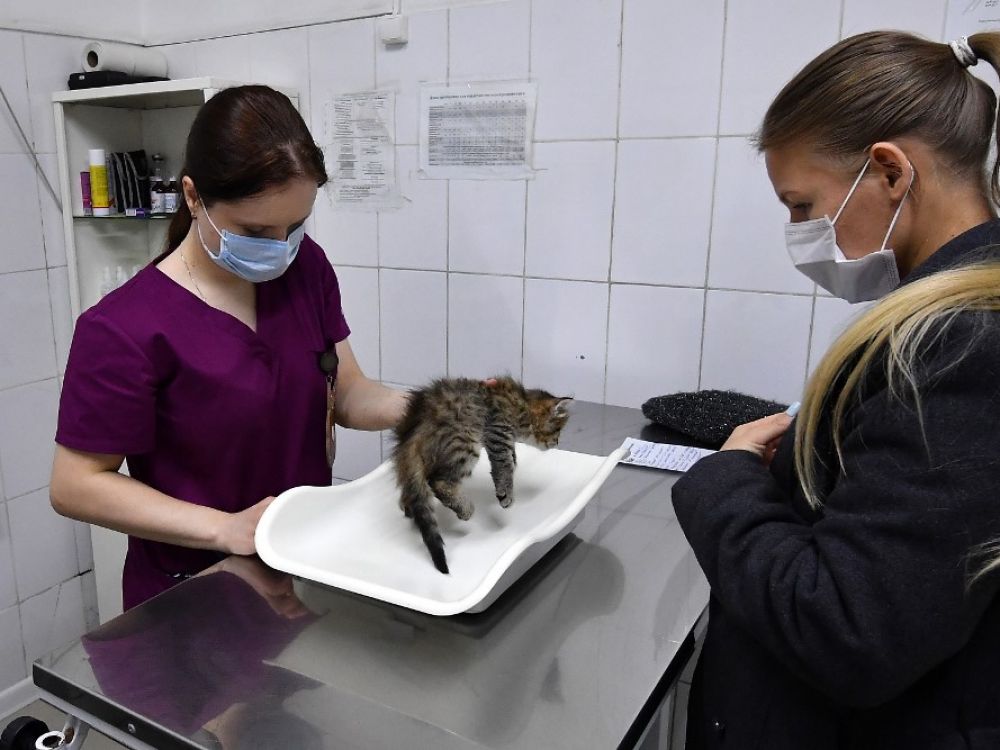 Sciences et Avenir avec AFP